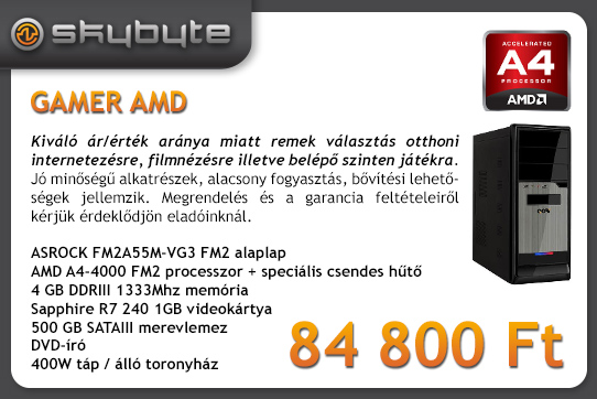 SKYBYTE GAMER AMD